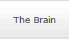 The Brain